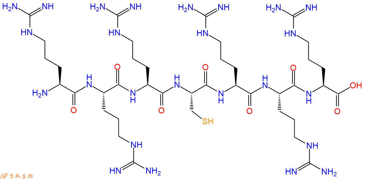 专肽生物产品H2N-Arg-Arg-Arg-Cys-Arg-Arg-Arg-COOH