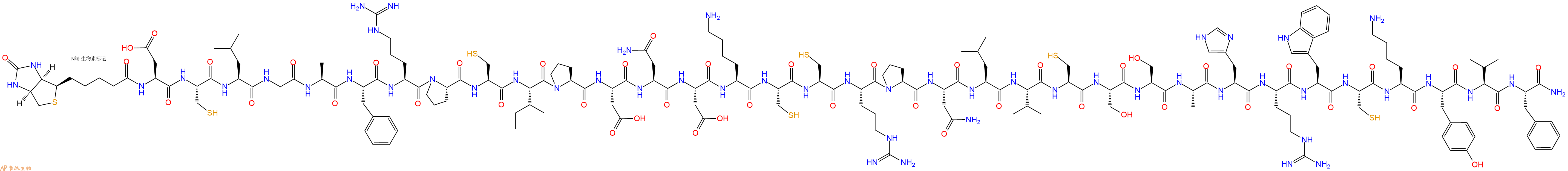 专肽生物产品Biotin-Asp-Cys-Leu-Gly-Ala-Phe-Arg-Pro-Cys-Ile-Pro-Asp-Asn-Asp-Lys-Cys-Cys-Arg-Pro-Asn-Leu-Val-Cys-Ser-Ser-Ala-His-Arg-Trp-Cys-Lys-Tyr-Val-Phe-NH2