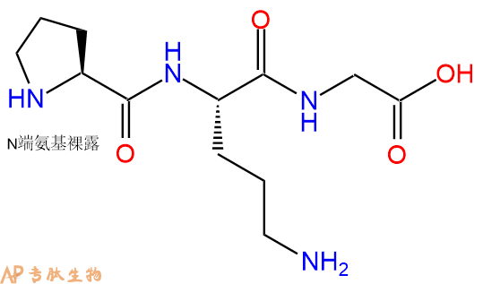 专肽生物产品H2N-Pro-Orn-Gly-COOH