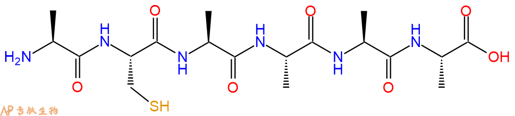 专肽生物产品H2N-Ala-Cys-Ala-Ala-Ala-Ala-COOH