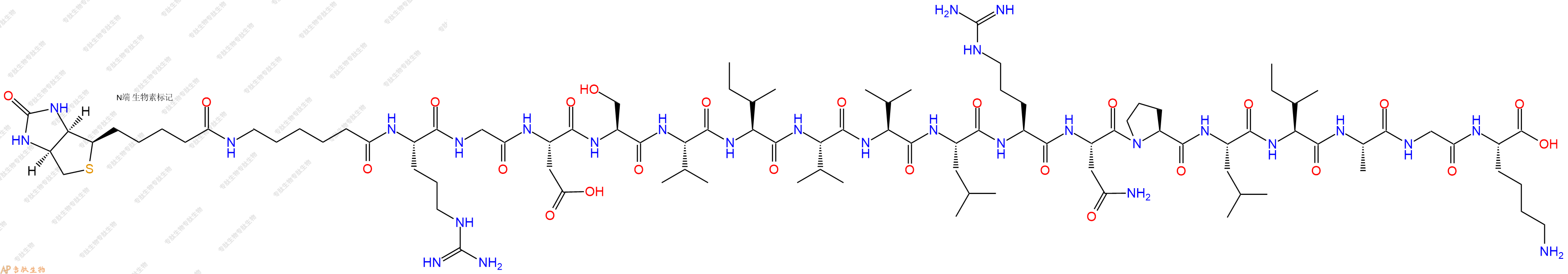 专肽生物产品Biotin-Ahx-Arg-Gly-Asp-Ser-Val-Ile-Val-Val-Leu-Arg-Asn-Pro-Leu-Ile-Ala-Gly-Lys-COOH