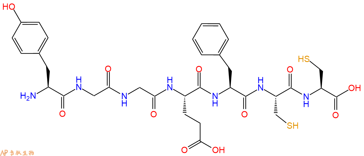 专肽生物产品H2N-Tyr-Gly-Gly-Glu-Phe-Cys-Cys-OH
