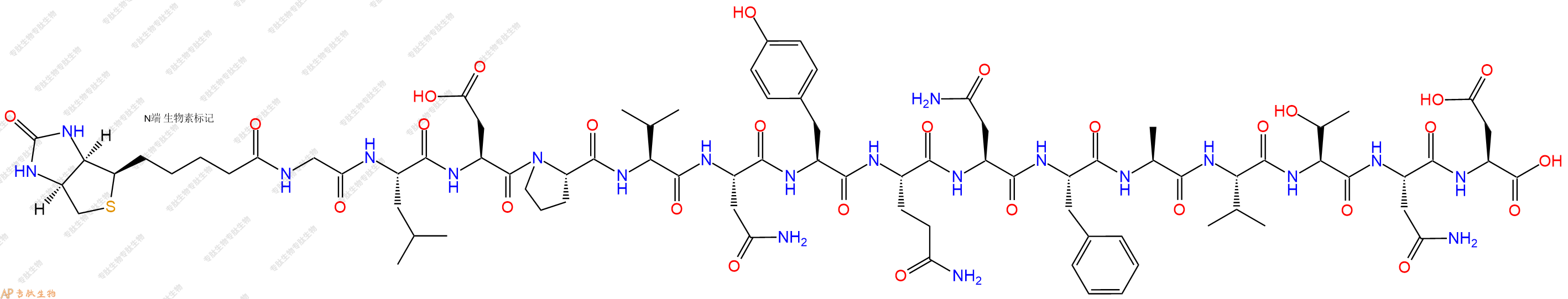 专肽生物产品Biotin-Gly-Leu-Asp-Pro-Val-Asn-Tyr-Gln-Asn-Phe-Ala-Val-Thr-Asn-Asp-OH