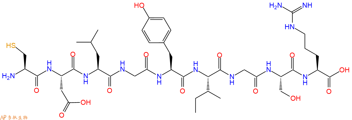 专肽生物产品H2N-Cys-Asp-Leu-Gly-Tyr-Ile-Gly-Ser-Arg-OH