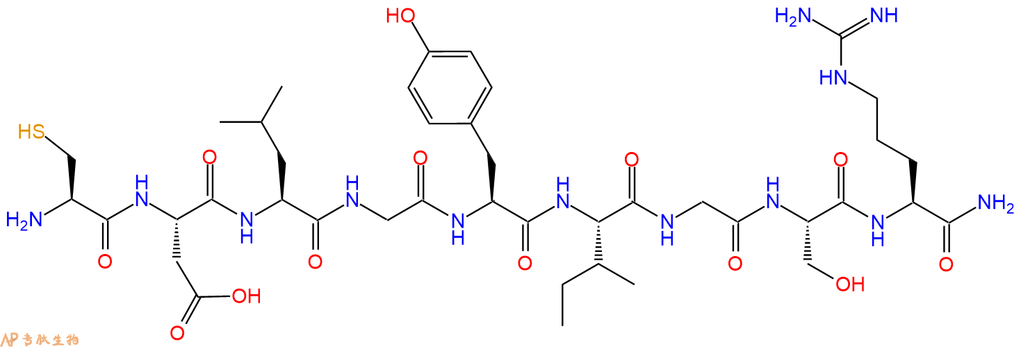 专肽生物产品H2N-Cys-Asp-Leu-Gly-Tyr-Ile-Gly-Ser-Arg-NH2