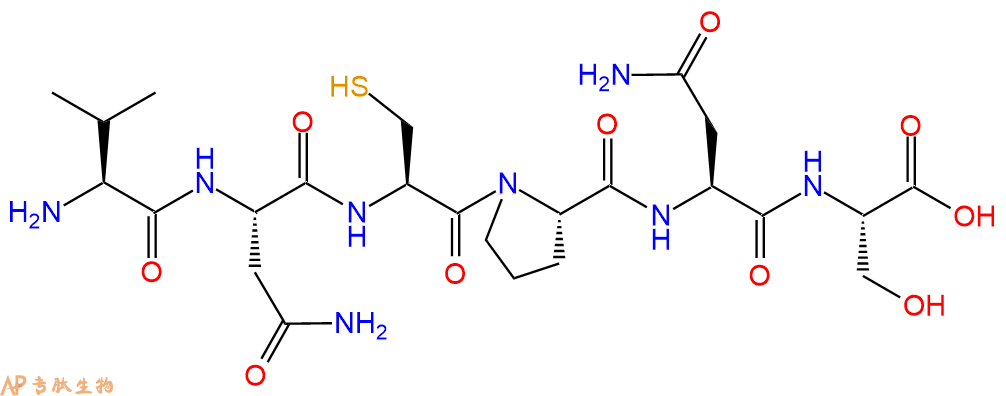 专肽生物产品H2N-Val-Asn-Cys-Pro-Asn-Ser-OH