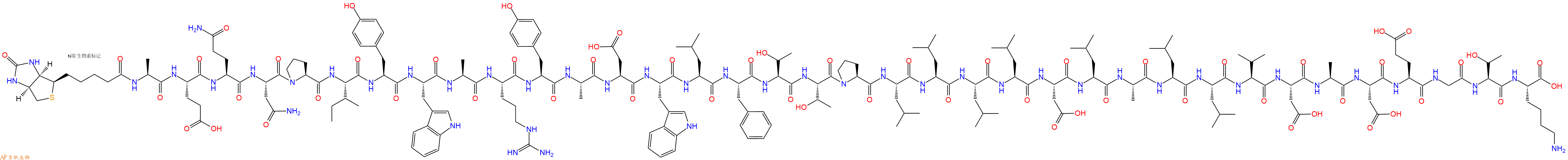 专肽生物产品Biotin-Ala-Glu-Gln-Asn-Pro-Ile-Tyr-Trp-Ala-Arg-Tyr-Ala-Asp-Trp-Leu-Phe-Thr-Thr-Pro-Leu-Leu-Leu-Leu-Asp-Leu-Ala-Leu-Leu-Val-Asp-Ala-Asp-Glu-Gly-Thr-Lys-OH