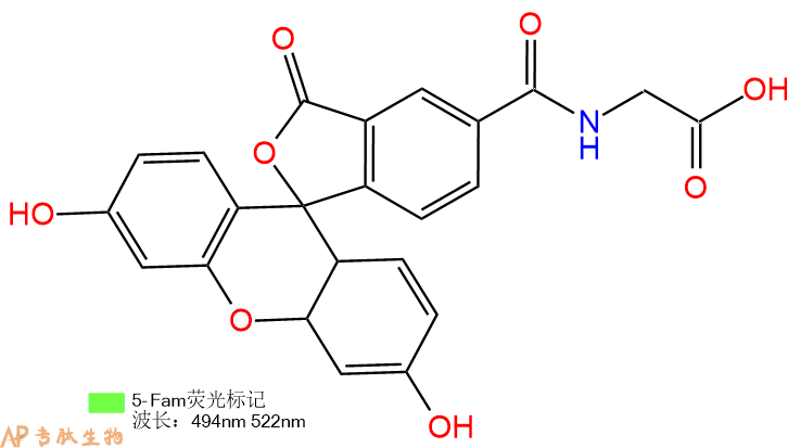 专肽生物产品5FAM-Gly-OH