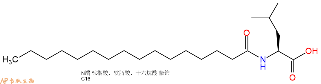 专肽生物产品Palmiticacid-Leu-OH