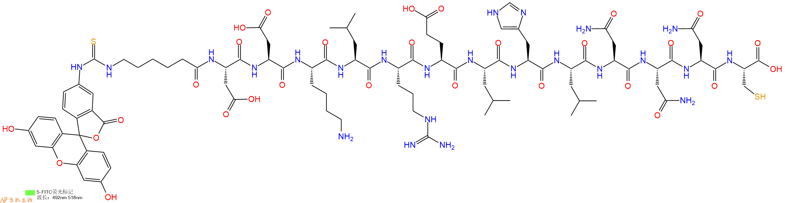 专肽生物产品5FITC-Ahx-Asp-Asp-Lys-Leu-Arg-Glu-Leu-His-Leu-Asn-Asn-Asn-Cys-OH