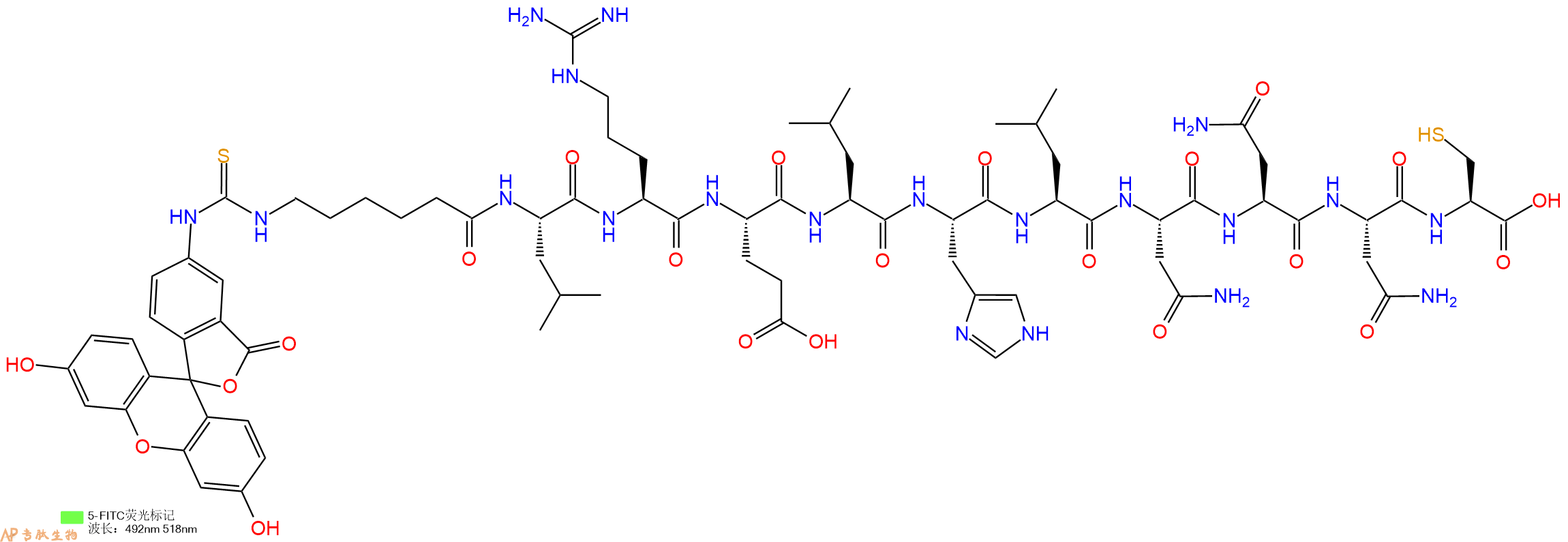 专肽生物产品5FITC-Ahx-Leu-Arg-Glu-Leu-His-Leu-Asn-Asn-Asn-Cys-OH