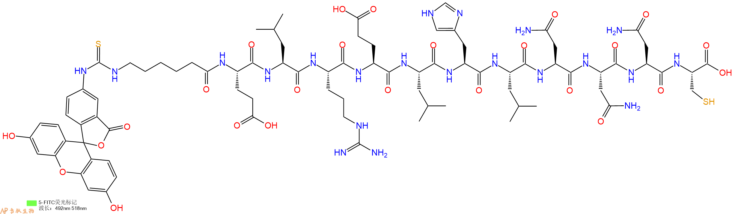 专肽生物产品5FITC-Ahx-Glu-Leu-Arg-Glu-Leu-His-Leu-Asn-Asn-Asn-Cys-OH