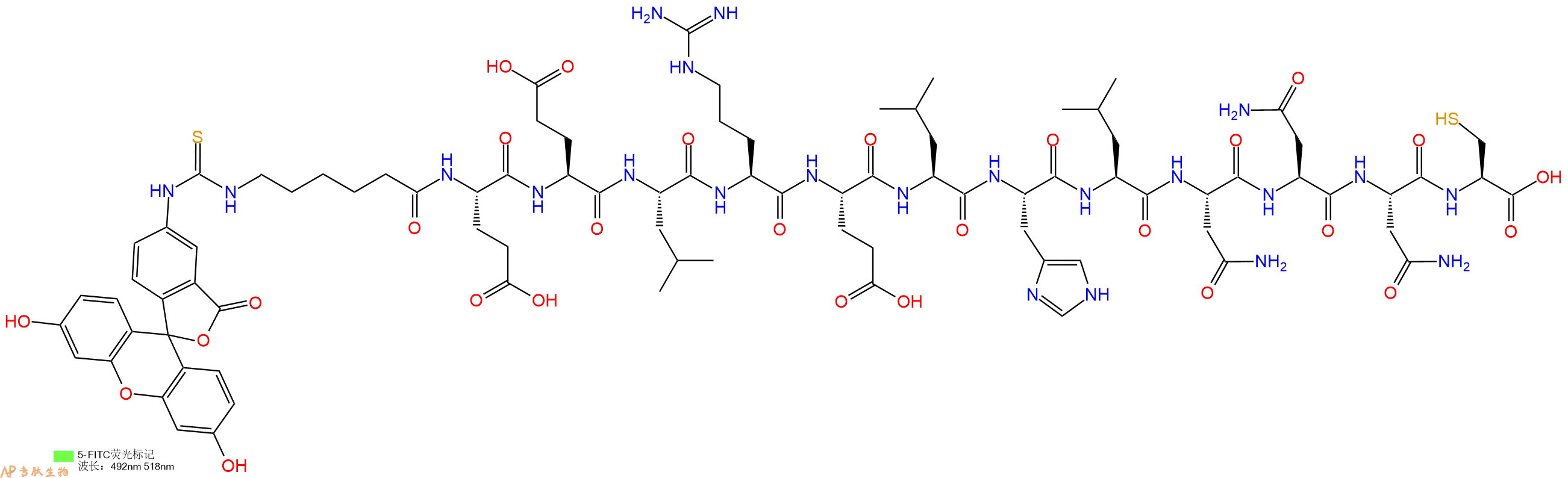 专肽生物产品5FITC-Ahx-Glu-Glu-Leu-Arg-Glu-Leu-His-Leu-Asn-Asn-Asn-Cys-OH