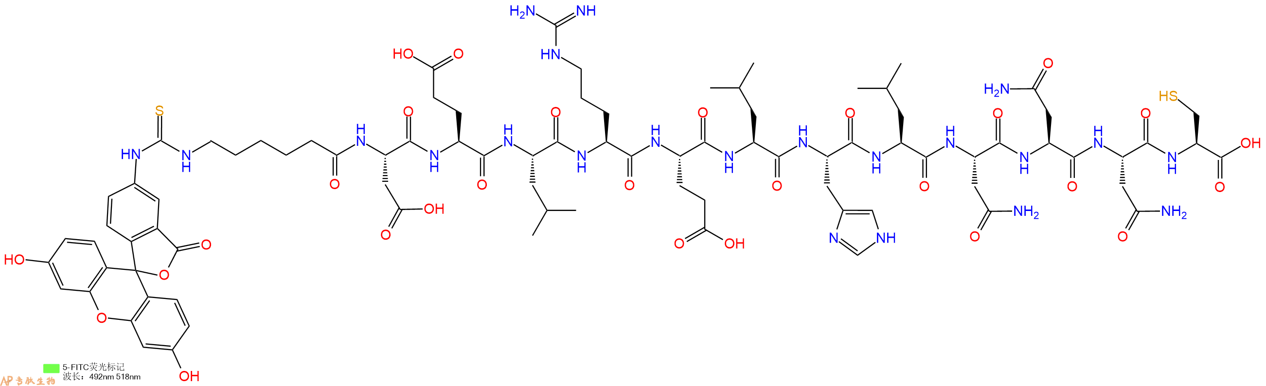 专肽生物产品5FITC-Ahx-Asp-Glu-Leu-Arg-Glu-Leu-His-Leu-Asn-Asn-Asn-Cys-OH