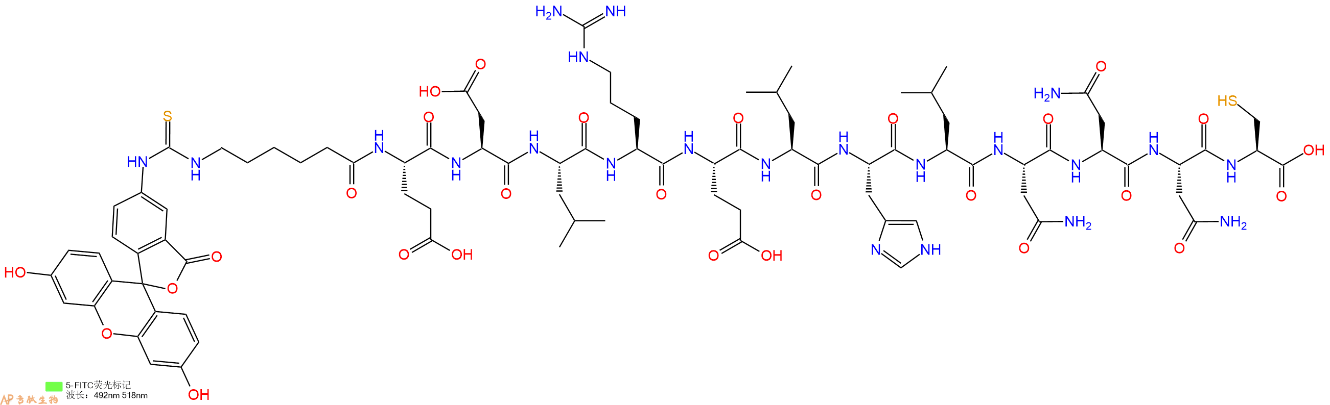 专肽生物产品5FITC-Ahx-Glu-Asp-Leu-Arg-Glu-Leu-His-Leu-Asn-Asn-Asn-Cys-OH