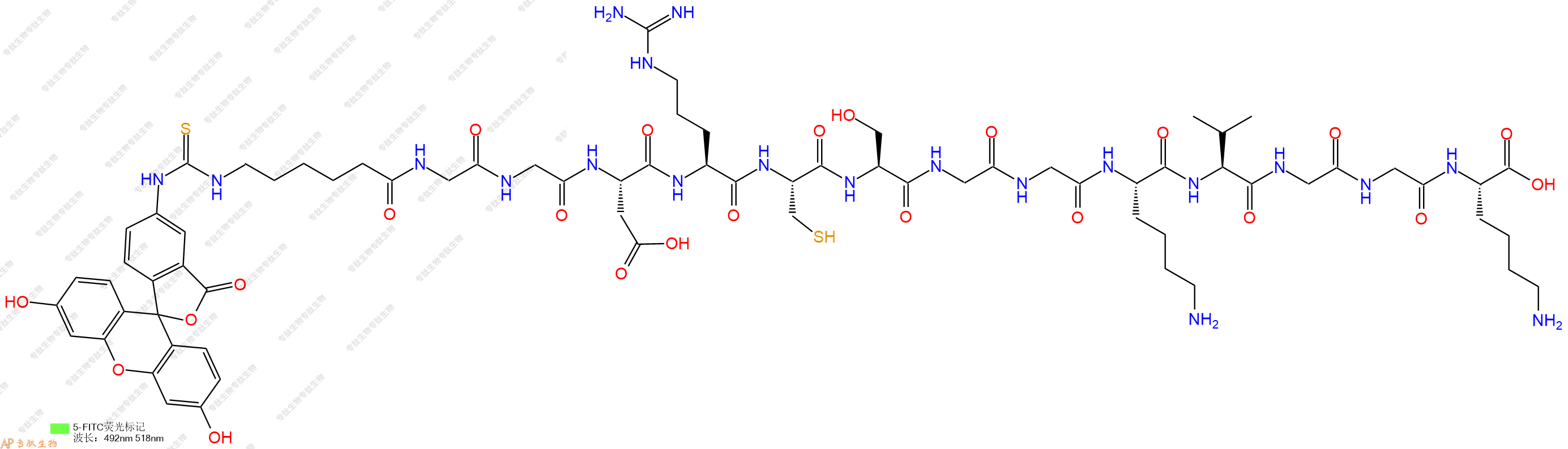 专肽生物产品5FITC-Ahx-Gly-Gly-Asp-Arg-Cys-Ser-Gly-Gly-Lys-Val-Gly-Gly-Lys-OH