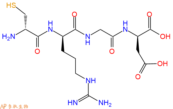 专肽生物产品H2N-DCys-DArg-Gly-DAsp-OH