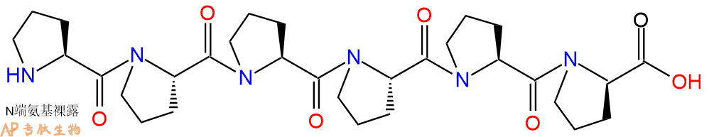 专肽生物产品H2N-Pro-Pro-Pro-Pro-Pro-DPro-OH