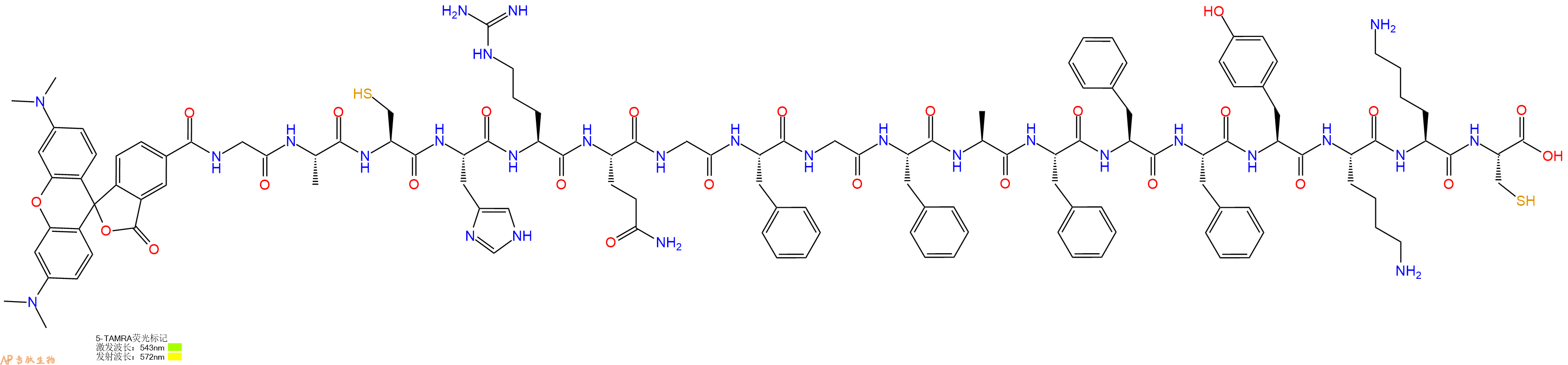 专肽生物产品5TAMRA-Gly-Ala-Cys-His-Arg-Gln-Gly-Phe-Gly-Phe-Ala-Phe-Phe-Phe-Tyr-Lys-Lys-Cys-OH