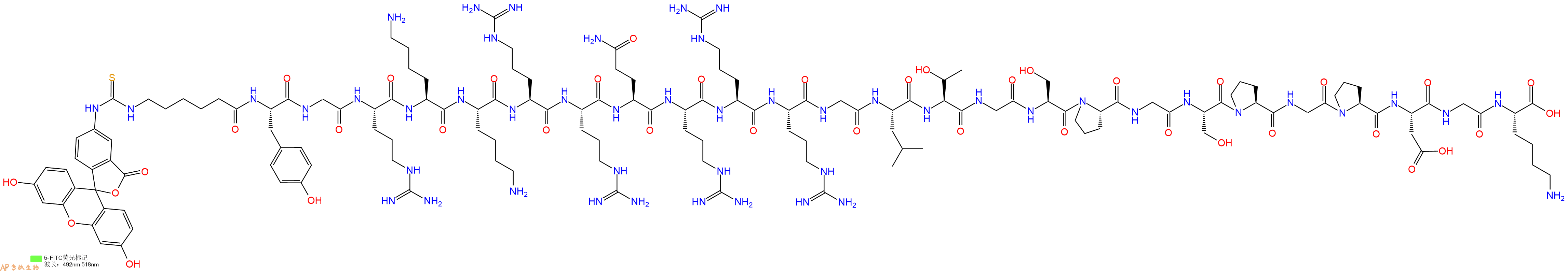 专肽生物产品5FITC-Ahx-Tyr-Gly-Arg-Lys-Lys-Arg-Arg-Gln-Arg-Arg-Arg-Gly-Leu-Thr-Gly-Ser-Pro-Gly-Ser-Pro-Gly-Pro-Asp-Gly-Lys-OH