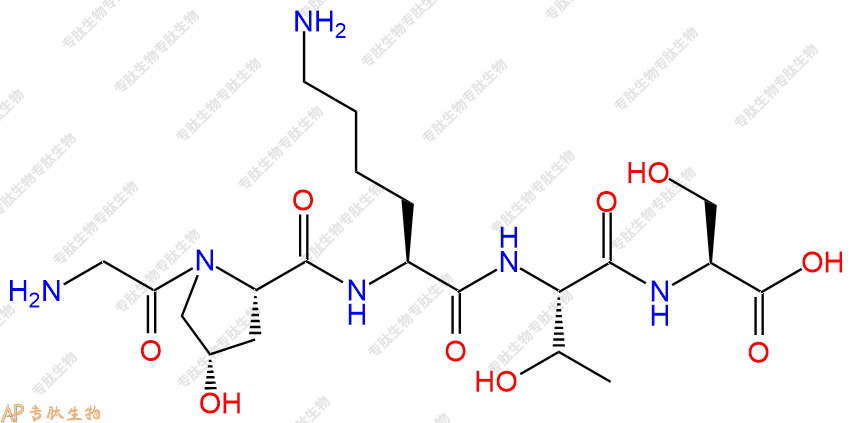 专肽生物产品H2N-Gly-Hyp-Lys-Thr-Ser-OH