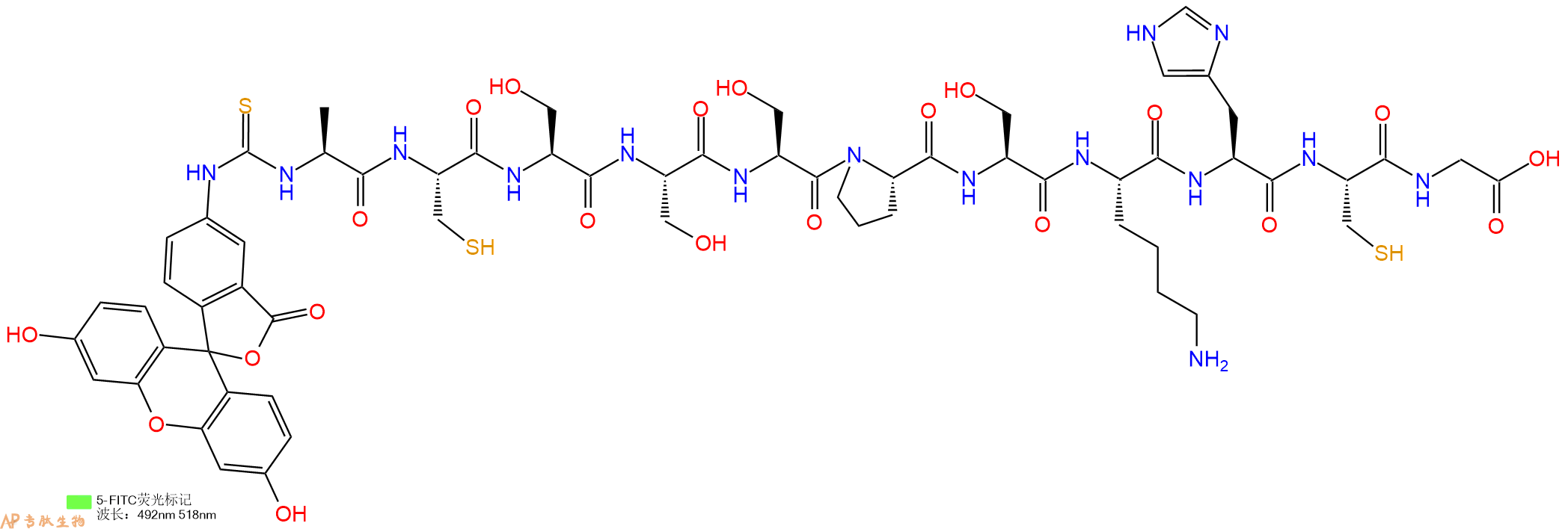 专肽生物产品5FITC-Ala-Cys-Ser-Ser-Ser-Pro-Ser-Lys-His-Cys-Gly-OH