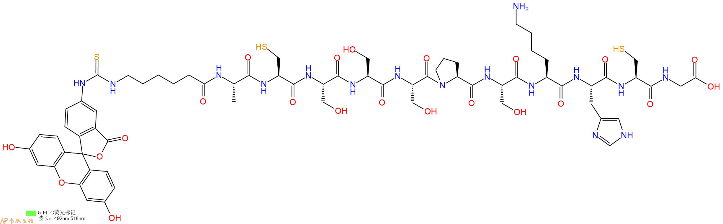 专肽生物产品5FITC-Ahx-Ala-Cys-Ser-Ser-Ser-Pro-Ser-Lys-His-Cys-Gly-OH