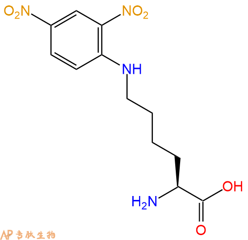 专肽生物产品H2N-Lys(Dnp)-OH