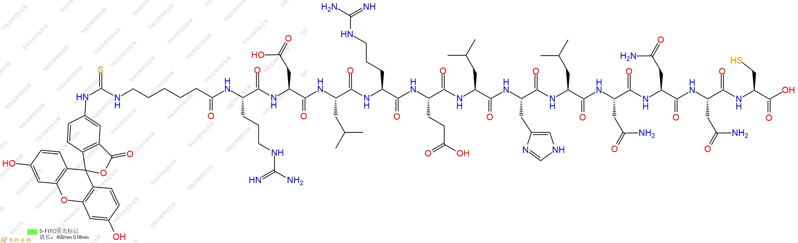 专肽生物产品5FITC-Ahx-Arg-Asp-Leu-Arg-Glu-Leu-His-Leu-Asn-Asn-Asn-Cys-OH