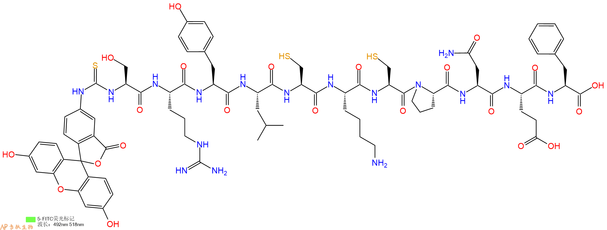 专肽生物产品5FITC-Ser-Arg-Tyr-Leu-Cys-Lys-Cys-Pro-Asn-Glu-Phe-OH