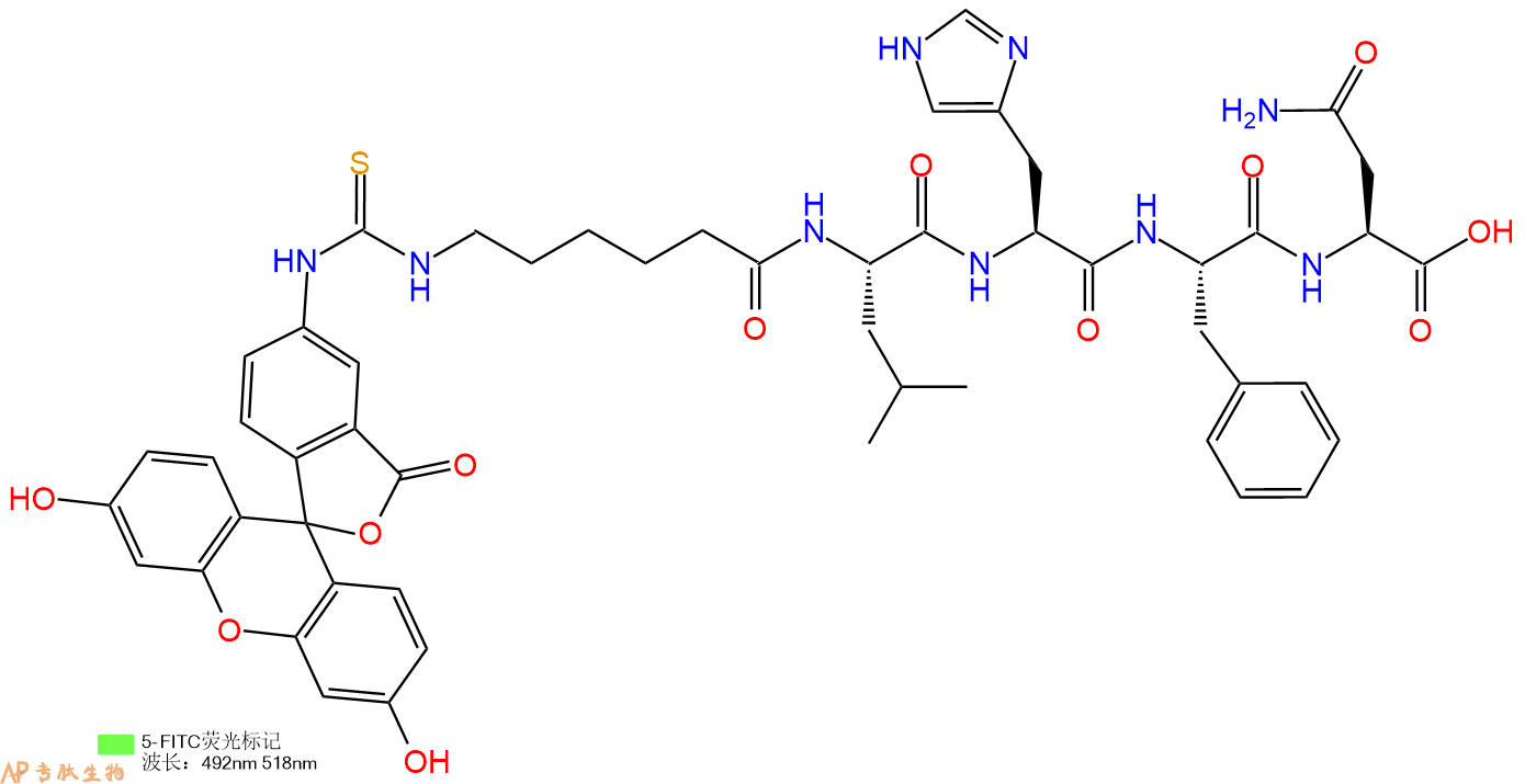 专肽生物产品5FITC-Ahx-Leu-His-Phe-Asn-OH