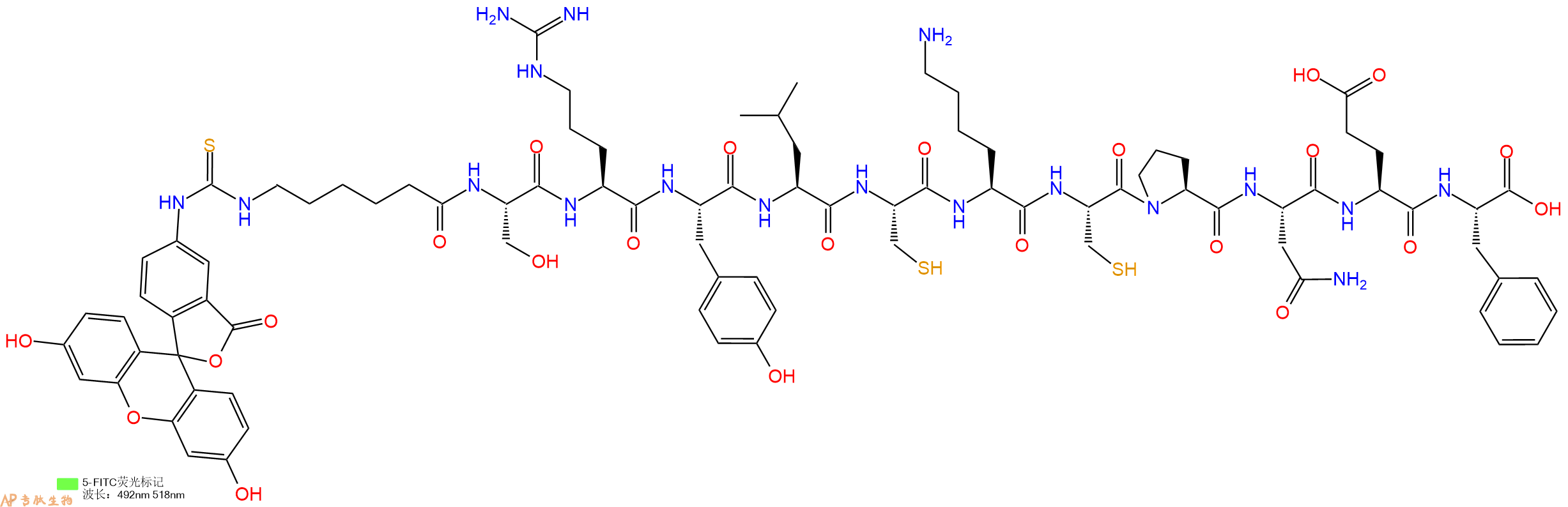 专肽生物产品5FITC-Ahx-Ser-Arg-Tyr-Leu-Cys-Lys-Cys-Pro-Asn-Glu-Phe-OH