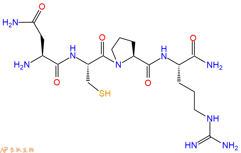 专肽生物产品H2N-Asn-Cys-Pro-Arg-NH2