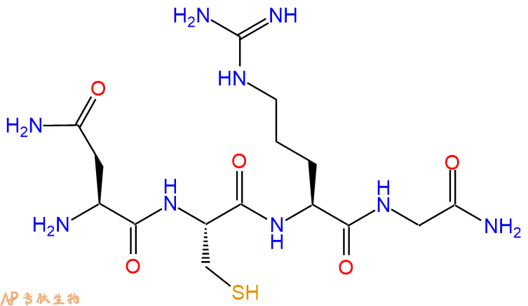 专肽生物产品H2N-Asn-Cys-Arg-Gly-NH2