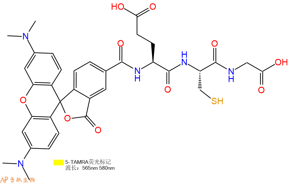 专肽生物产品5TAMRA-Glu-Cys-Gly-OH