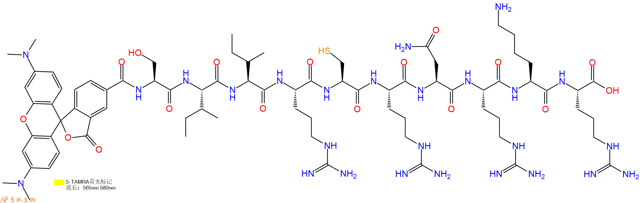 专肽生物产品5TAMRA-Ser-Ile-Ile-Arg-Cys-Arg-Asn-Arg-Lys-Arg-OH