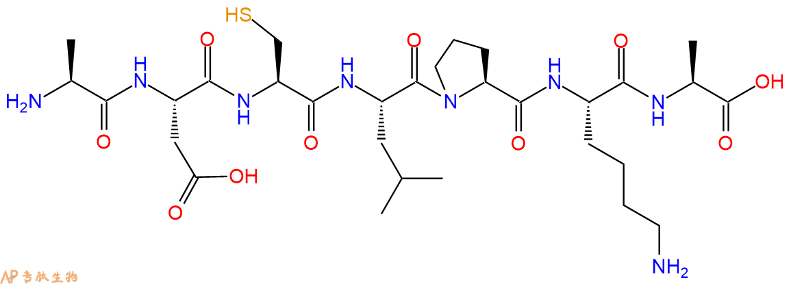 专肽生物产品H2N-Ala-Asp-Cys-Leu-Pro-Lys-Ala-OH