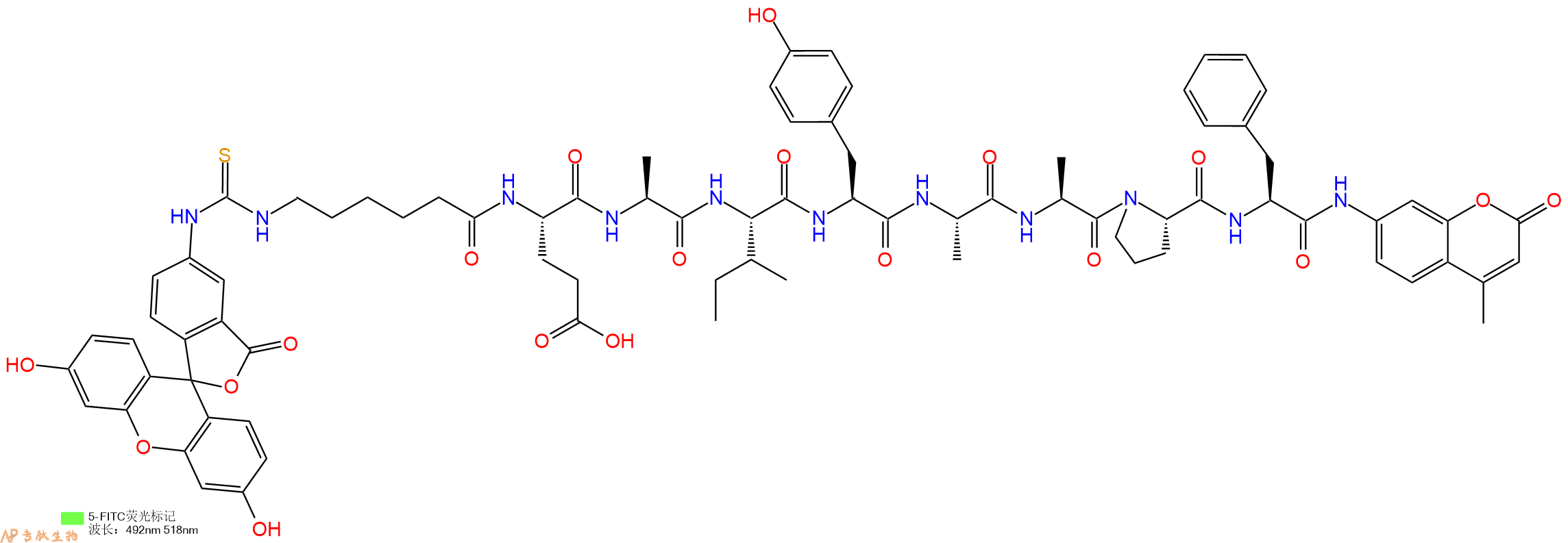 专肽生物产品5FITC-Ahx-Glu-Ala-Ile-Tyr-Ala-Ala-Pro-Phe-AMC