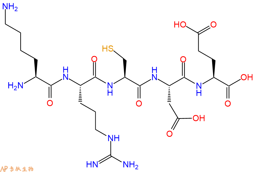 专肽生物产品H2N-Lys-Arg-Cys-Asp-Glu-OH