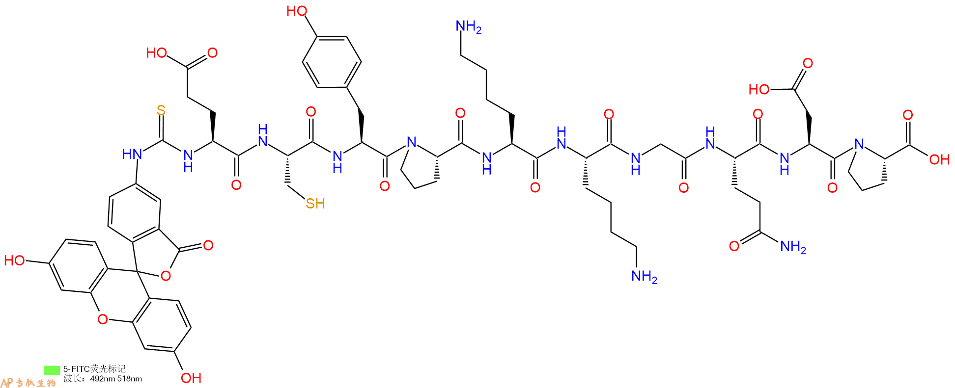 专肽生物产品5FITC-Glu-Cys-Tyr-Pro-Lys-Lys-Gly-Gln-Asp-Pro-OH
