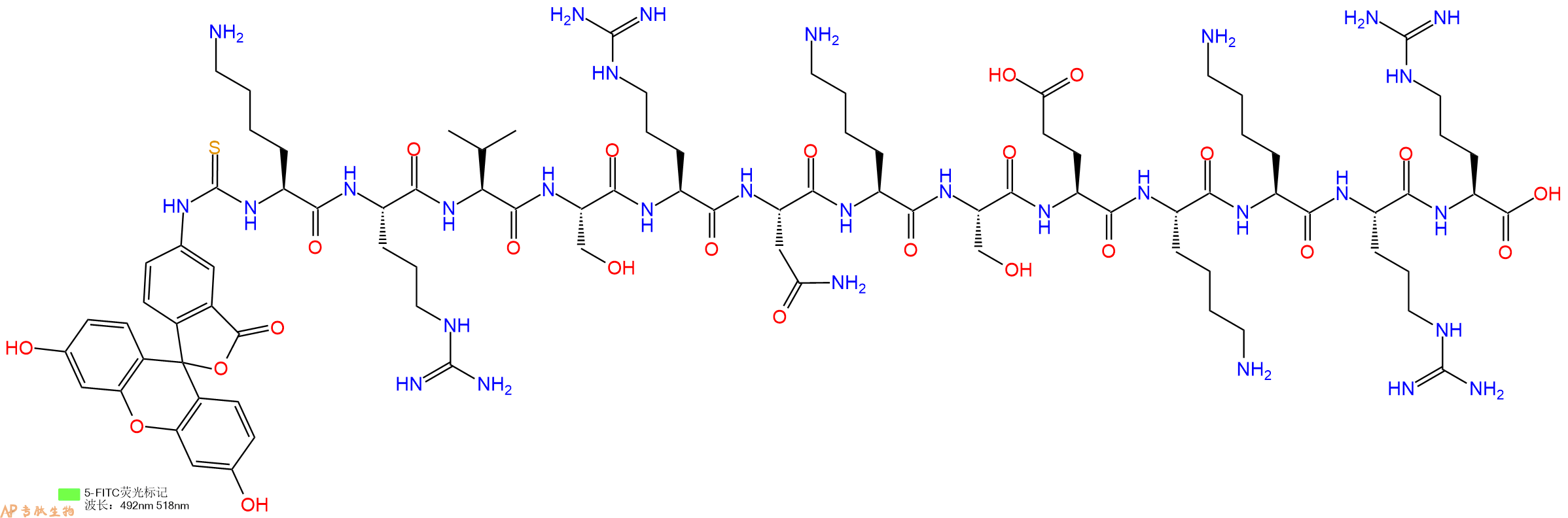 专肽生物产品5FITC-Lys-Arg-Val-Ser-Arg-Asn-Lys-Ser-Glu-Lys-Lys-Arg-Arg-OH