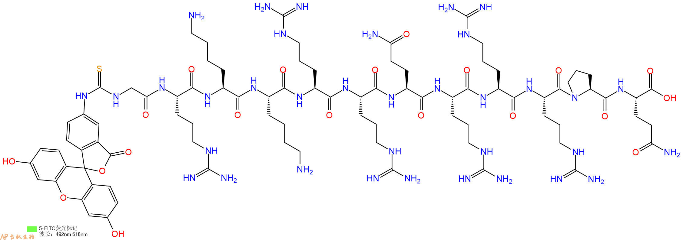 专肽生物产品5FITC-Gly-Arg-Lys-Lys-Arg-Arg-Gln-Arg-Arg-Arg-Pro-Gln-OH