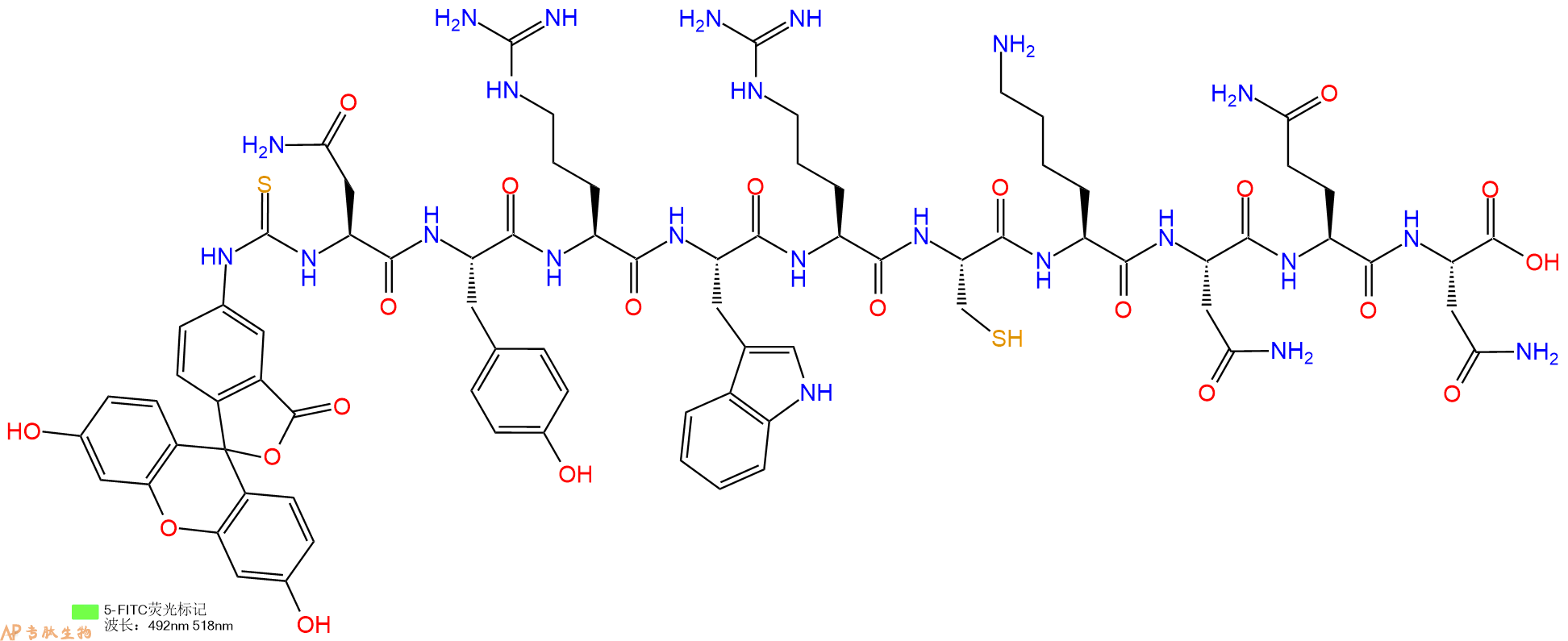 专肽生物产品5FITC-Asn-Tyr-Arg-Trp-Arg-Cys-Lys-Asn-Gln-Asn-OH