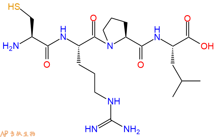 专肽生物产品H2N-Cys-Arg-Pro-Leu-OH