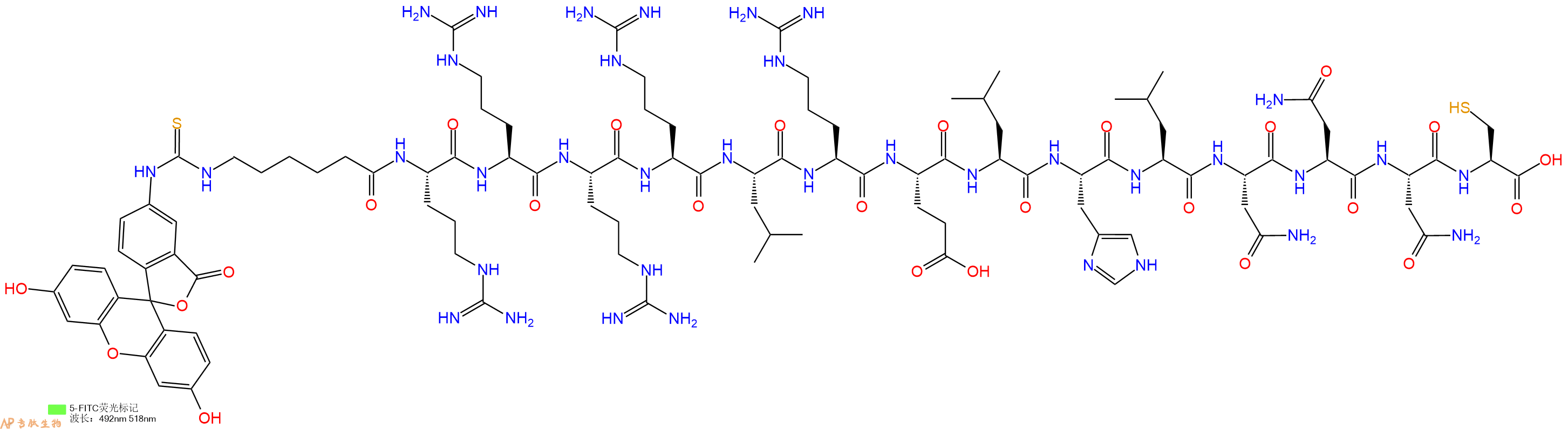 专肽生物产品5FITC-Ahx-Arg-Arg-Arg-Arg-Leu-Arg-Glu-Leu-His-Leu-Asn-Asn-Asn-Cys-OH