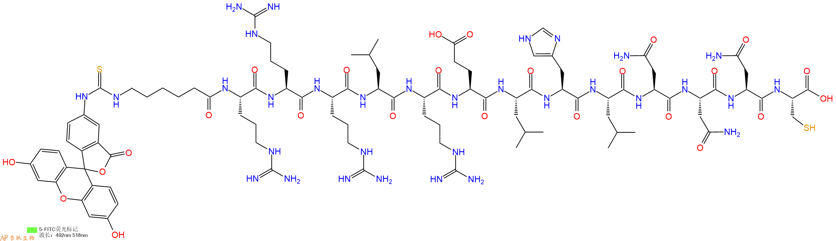 专肽生物产品5FITC-Ahx-Arg-Arg-Arg-Leu-Arg-Glu-Leu-His-Leu-Asn-Asn-Asn-Cys-OH