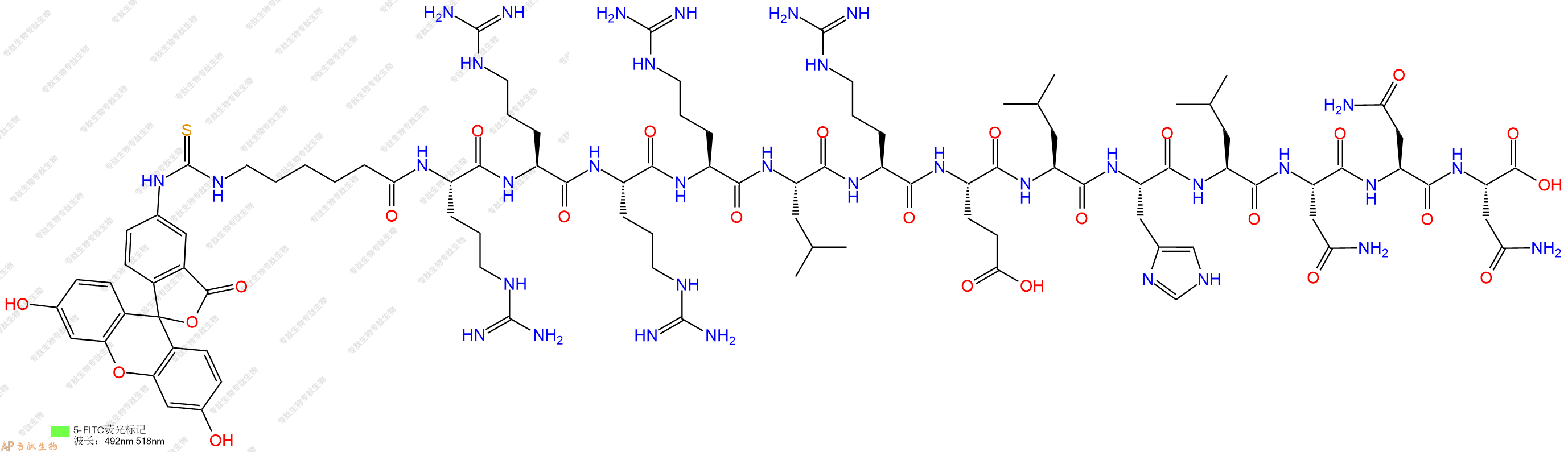 专肽生物产品5FITC-Ahx-Arg-Arg-Arg-Arg-Leu-Arg-Glu-Leu-His-Leu-Asn-Asn-Asn-OH