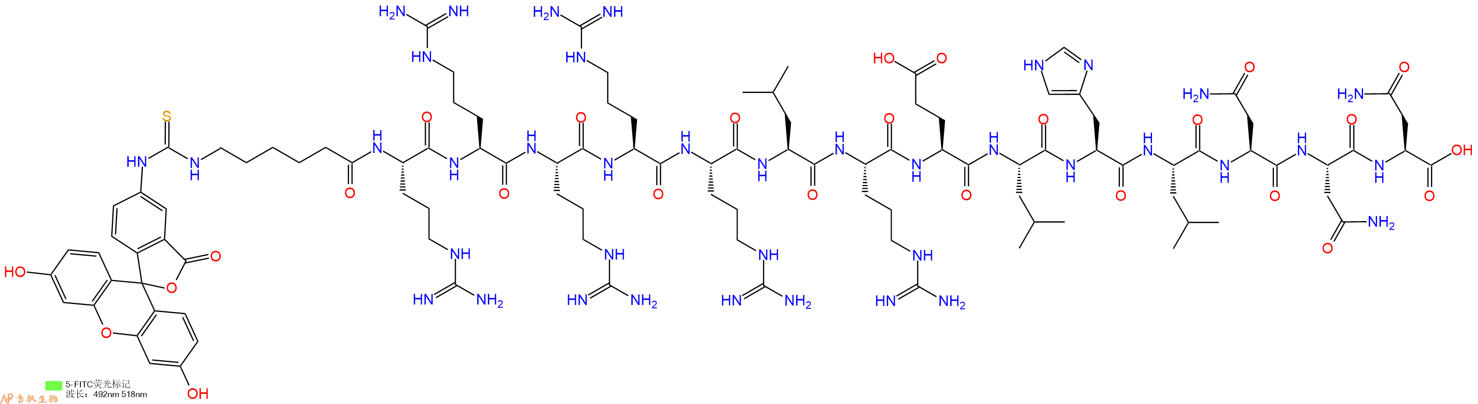 专肽生物产品5FITC-Ahx-Arg-Arg-Arg-Arg-Arg-Leu-Arg-Glu-Leu-His-Leu-Asn-Asn-Asn-OH