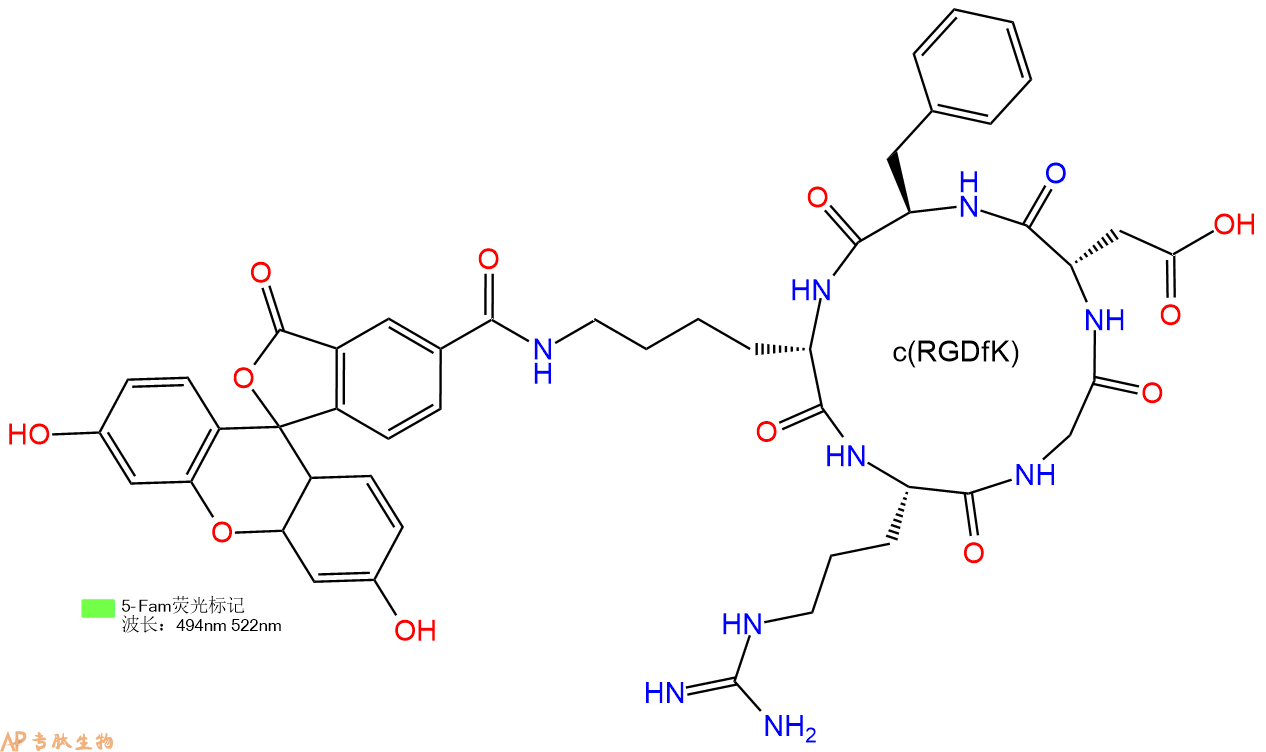 专肽生物产品5FAM-c(RGDfK)、5FAM-cyclo(RGDfK)