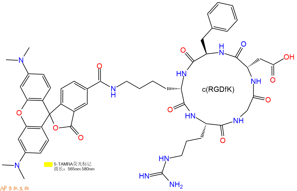 专肽生物产品5TAMRA-c(RGDfK)、5TAMRA-cyclo(RGDfK)